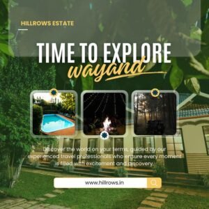 Blog 4: How Digital Marketing Helps Tourism Businesses in Wayanad